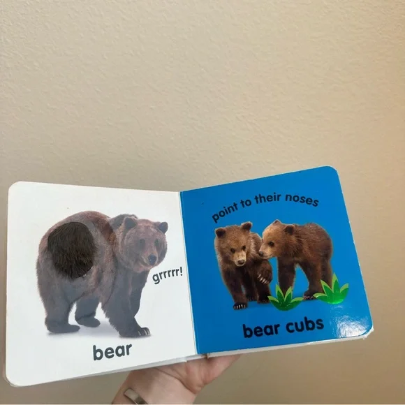 4/$20 Baby Touch and Feel Roar! Roar! Book - Picture 2 of 4